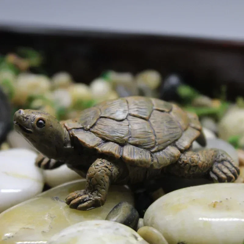 樹脂シミュレーション小さなカメクラフトマイクロ風景ガーデニン - Succulent Set のレビューと価格