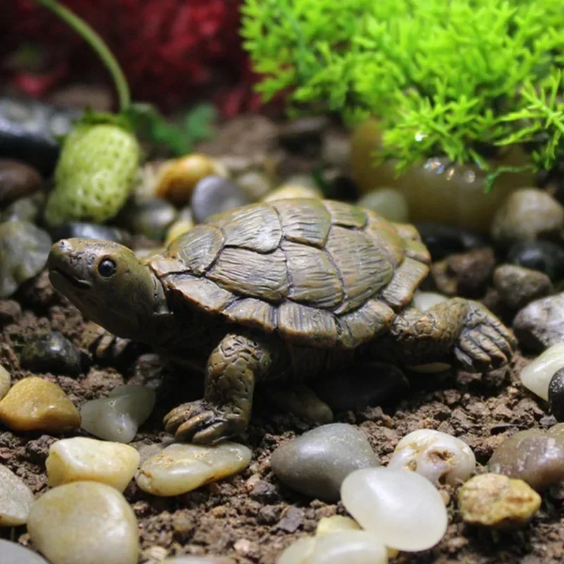 樹脂シミュレーション小さなカメクラフトマイクロ風景ガーデニン - Succulent Set のレビューと価格