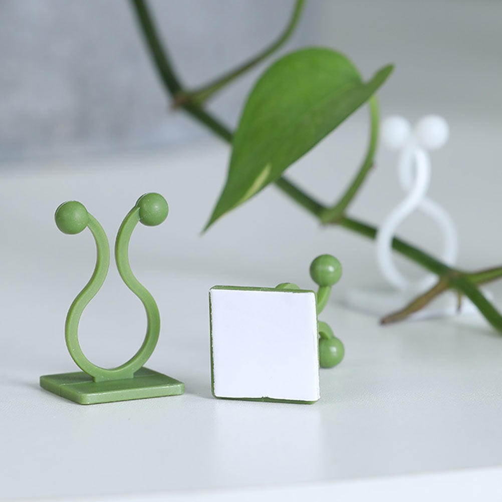 80個入り、植物用つる植物固定フック。粘着式で壁に貼り付け可 - Pothos のレビューと価格