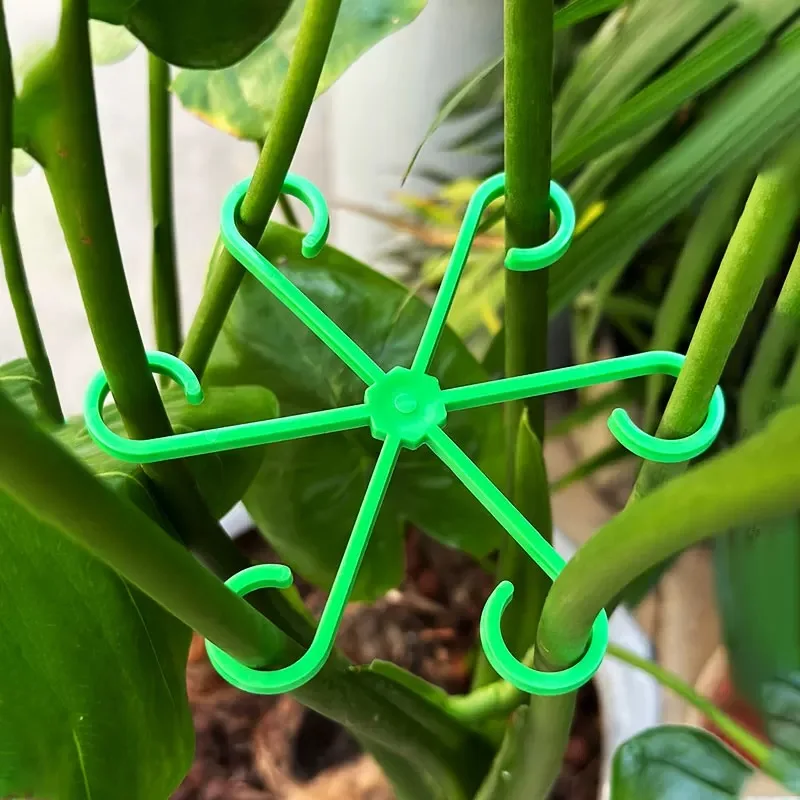花植物茎サポートステーククライミング観葉植物スタンドフレーム - Plant Support Stake のレビューと価格