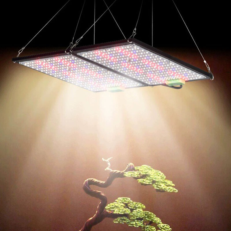 LED量子ボード育成ライト フルスペクトラム 吊り下げ式植物 - Indoor Plants のレビューと価格