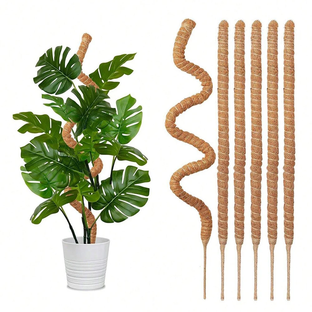 モンステラ植物用、苔柱、支柱、屋内用つる性植物用トレリス、鉢 - Plant Support Stake のレビューと価格