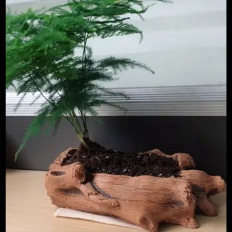 模造木製ステークス木の根植物植栽鉢植えレトロセメント木材植栽 - Succulent Set のレビューと価格