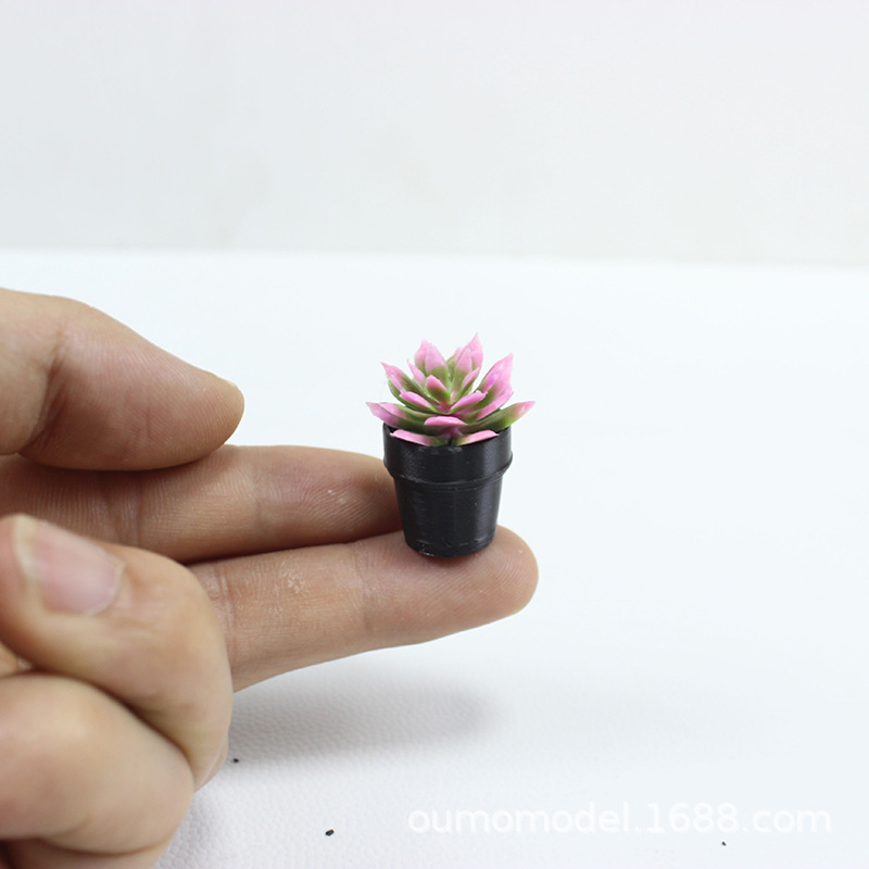 ミニ模擬植物サボテン多肉植物モデル小型鉢植え装飾デスクトップ - Succulent Set のレビューと価格