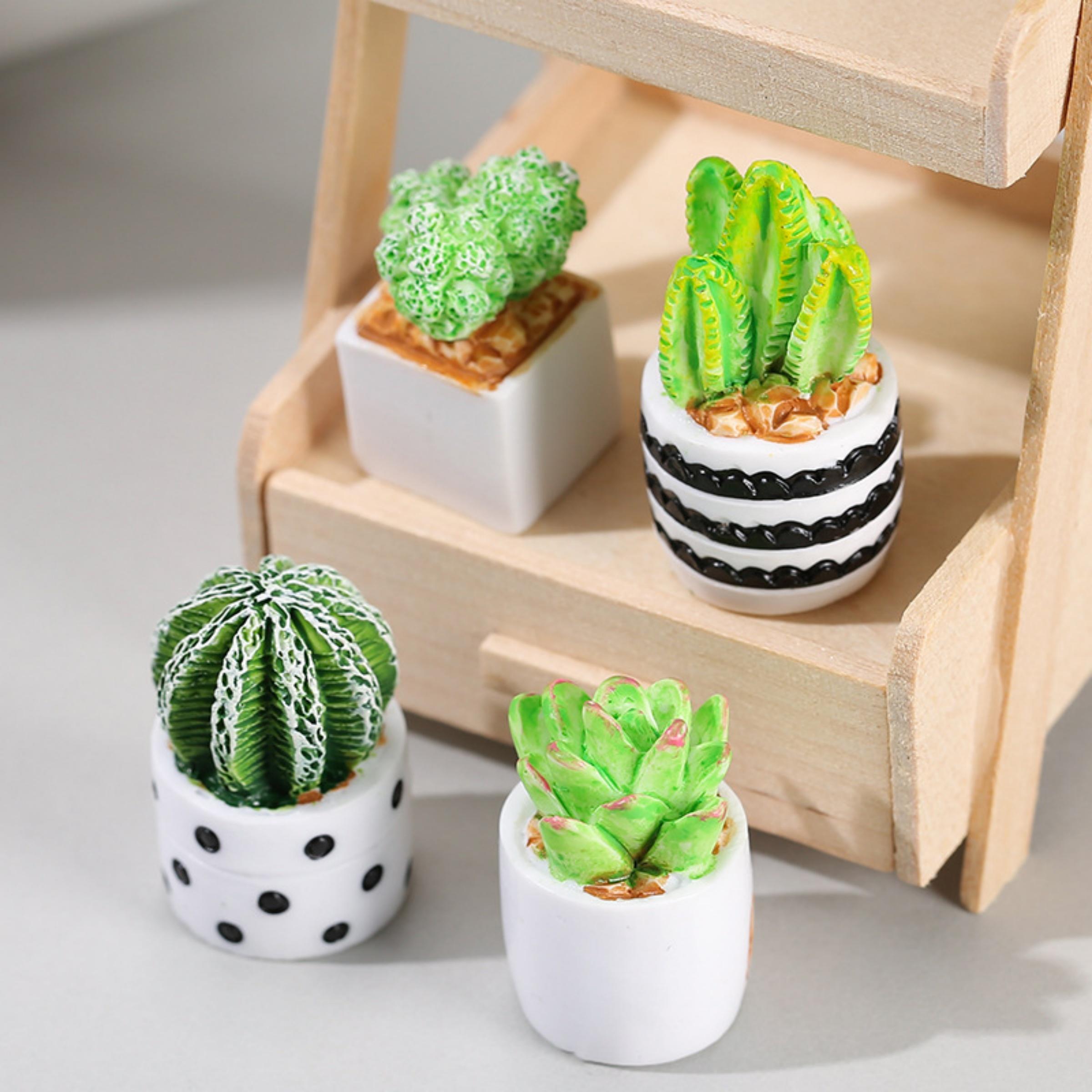サボテン多肉植物の鉢植え4点セット、フェアリーガーデンアクセ - Succulent Set のレビューと価格