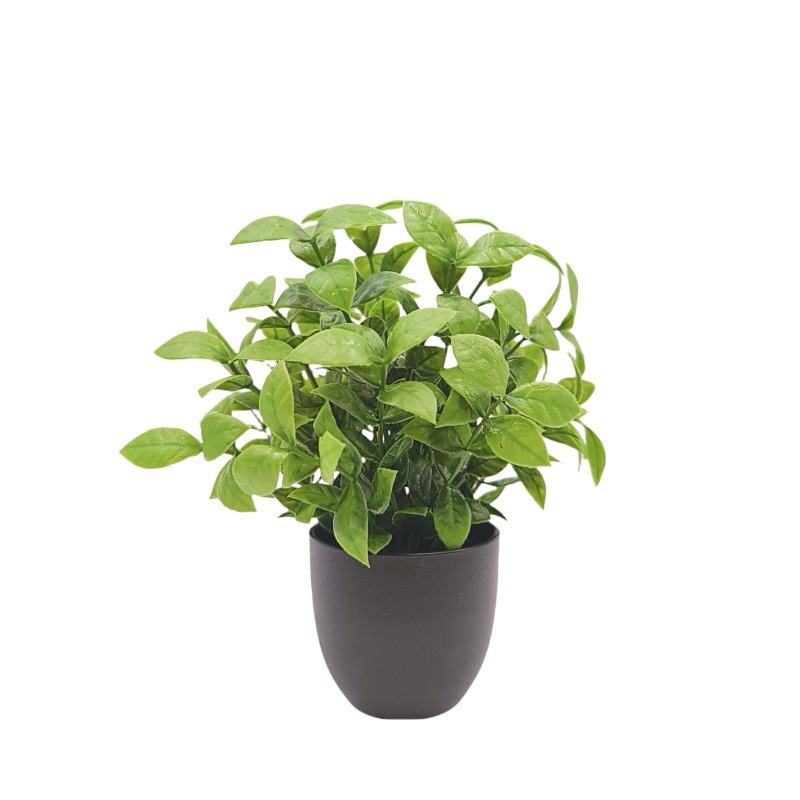 シミュレーショングリーンプラント盆栽　越境オフィスインテリア - Succulent Set のレビューと価格