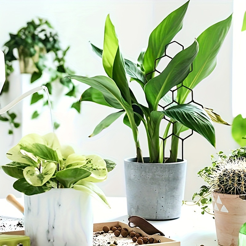 1PC ハニカムデザイン植物トレリス、鉢植えのつるや花用の防 - Pothos のレビューと価格